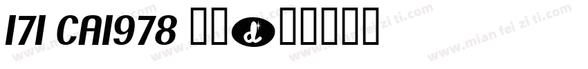 171 CA1978 常规字体转换